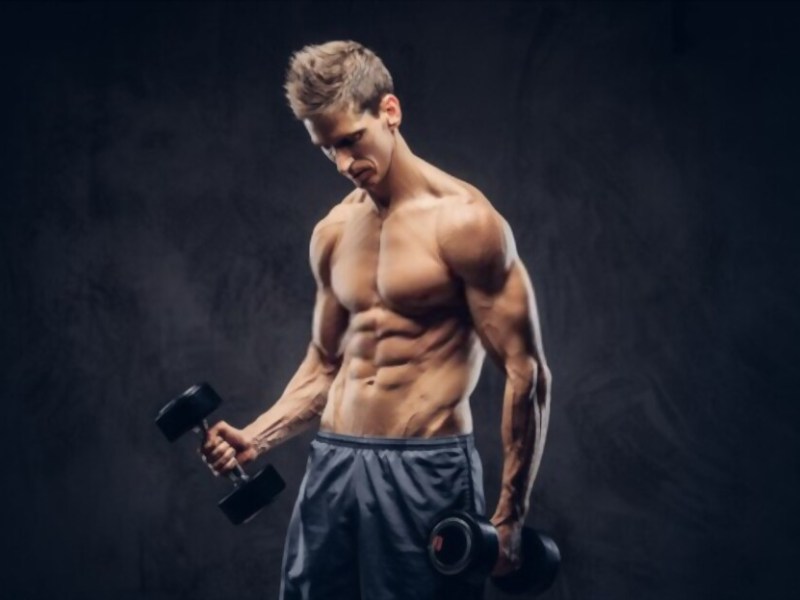 What is Ectomorph diet plan and why it is&nbsp;important